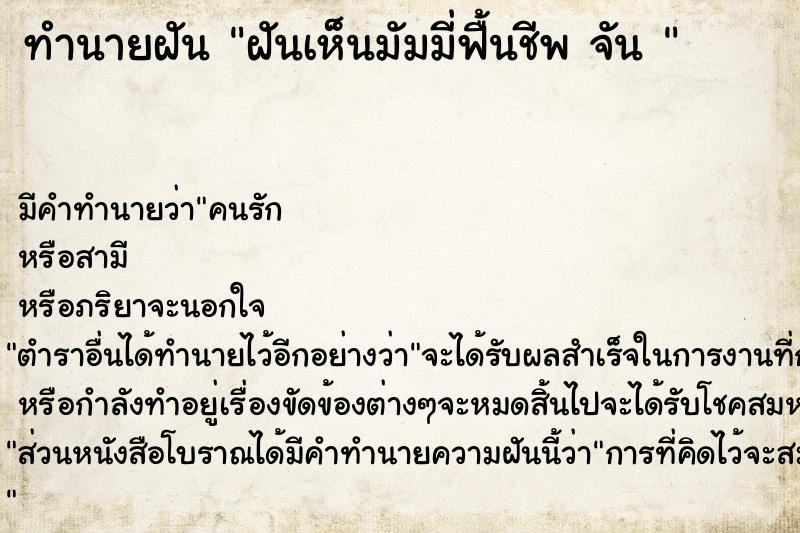 ทำนายฝัน ฝันเห็นมัมมี่ฟื้นชีพ จัน 